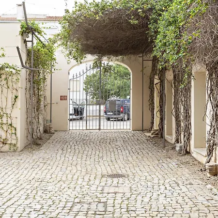 Convento Bernardas By My Choice טאווירה