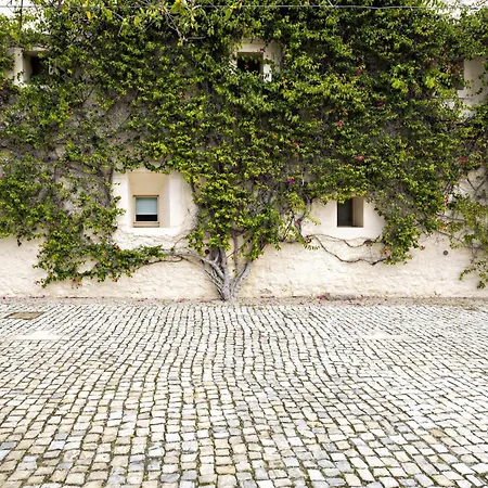 Convento Bernardas By My Choice Apartment